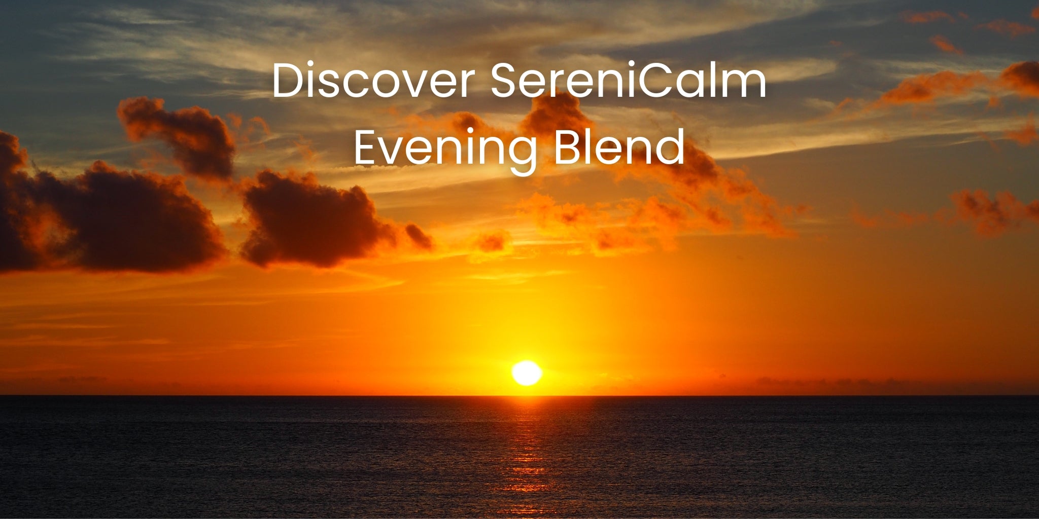 SereniCalm by Fungi Farms: The Ultimate Evening Blend for Relaxation and Restful Sleep