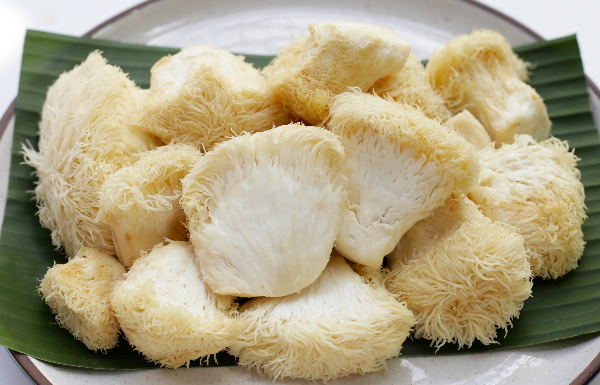 Organic Lion's Mane Mushrooms